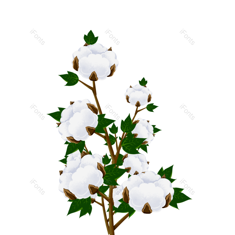 白色图片,元素,PNG,免抠素材